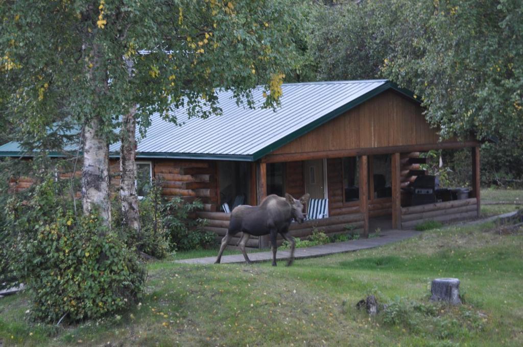 Daniels Lake Lodge Cabins Nikiski Номер фото