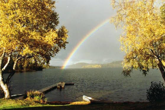 Daniels Lake Lodge Cabins Nikiski Экстерьер фото